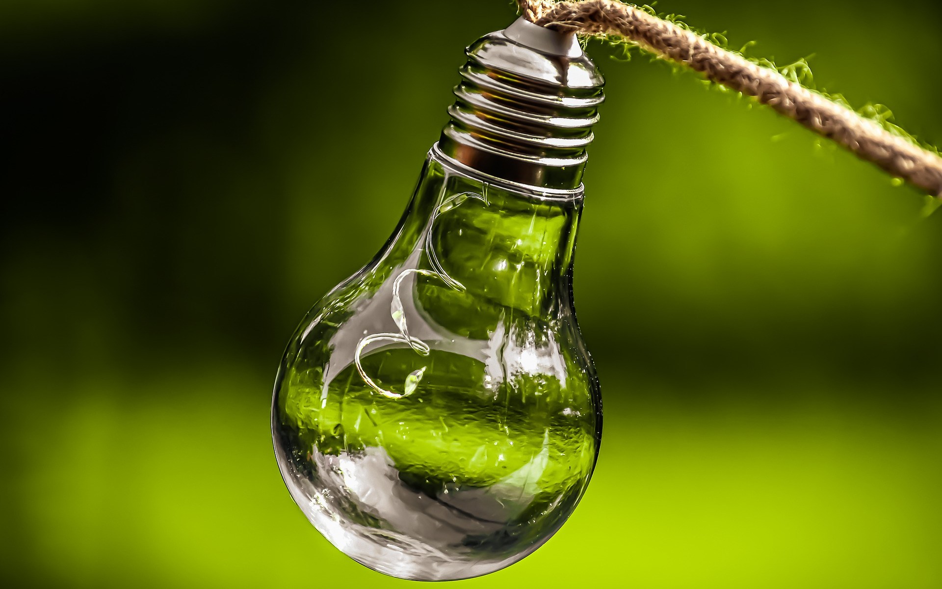 Ökologische Verantwortung braucht Ideen und Innovation